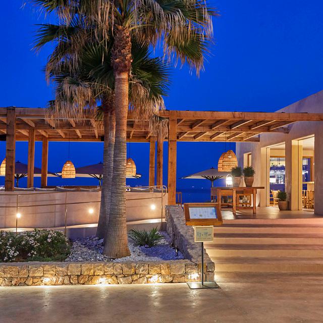 Melia Palma Bay photo 7