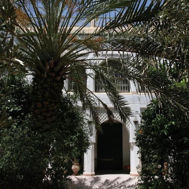 Riad Ifoulki photo 6