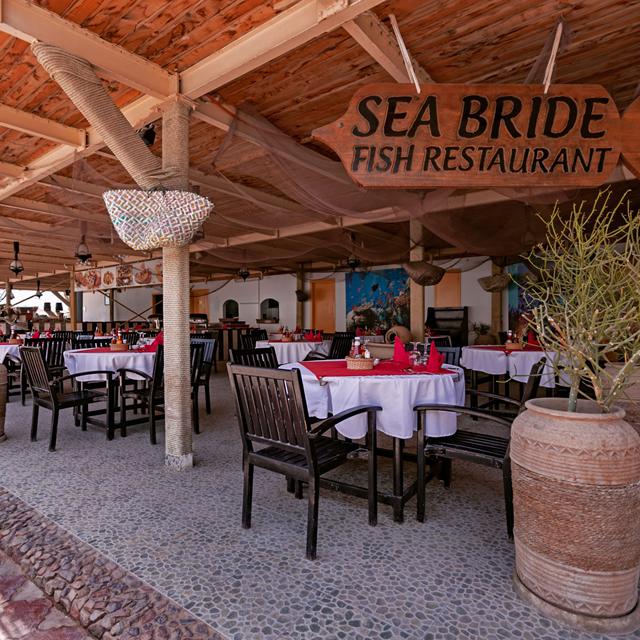 Minamark Beach Resort & Spa photo 3