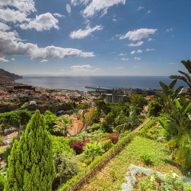 Hôtel Quinta Funchal Palace Gardens by Barcelo - réservé aux adultes photo 1