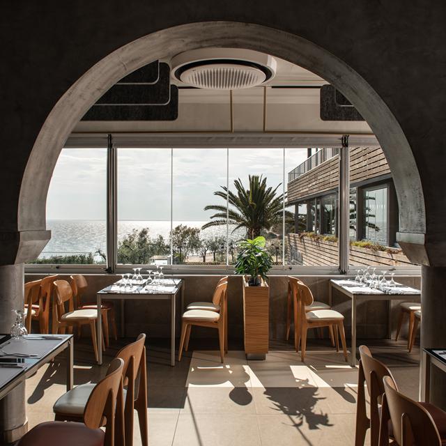 Hôtel Blue Dolphin photo 3