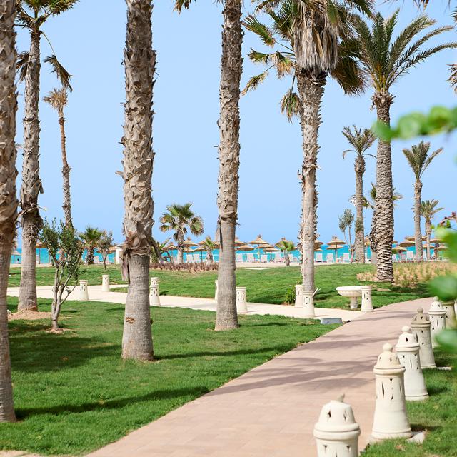 Iberostar Selection Eolia Djerba photo 16