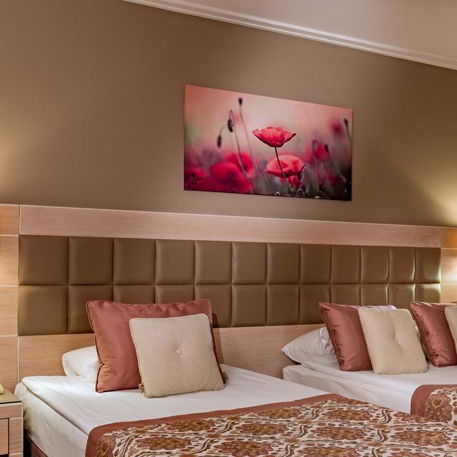 Hôtel Miracle Resort photo 2