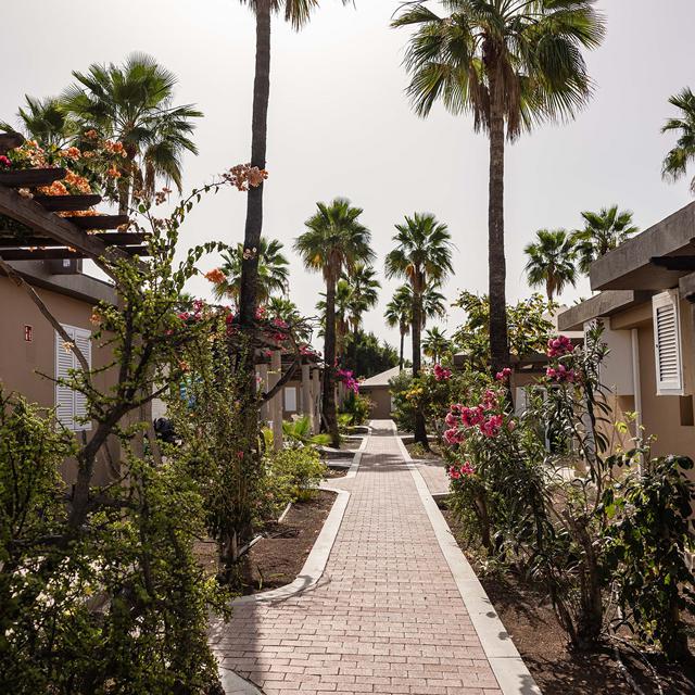Bungalows Caybeach Princess photo 21