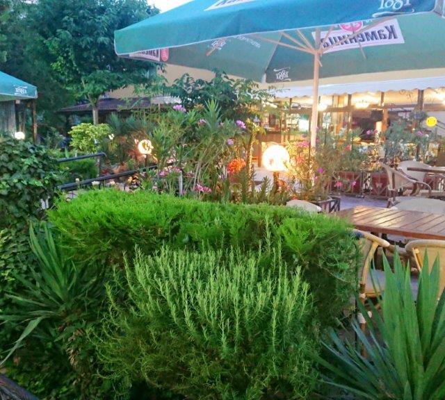 Hotel Trakia Garden photo 7