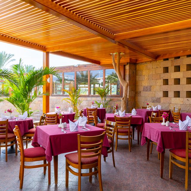 Hôtel Fort Arabesque Resort photo 24