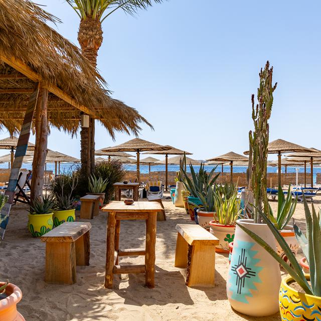 Hôtel Fort Arabesque Resort photo 17