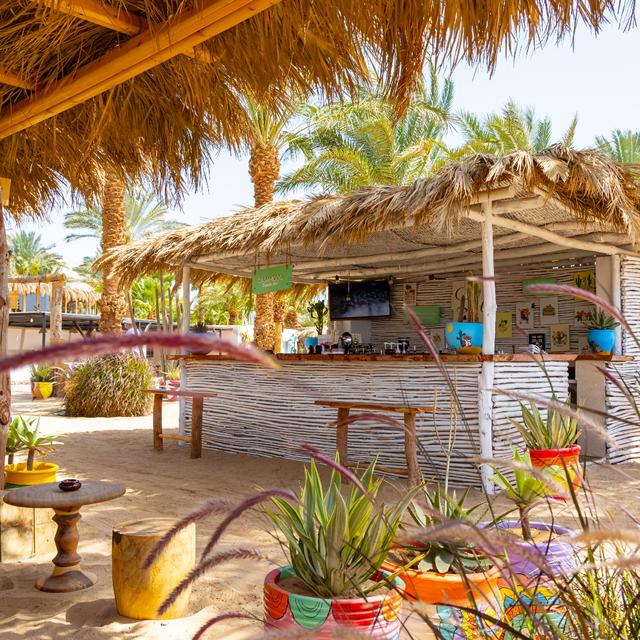 Hôtel Fort Arabesque Resort photo 15