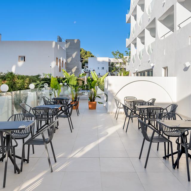 Hôtel Vibra Palma Cactus photo 12