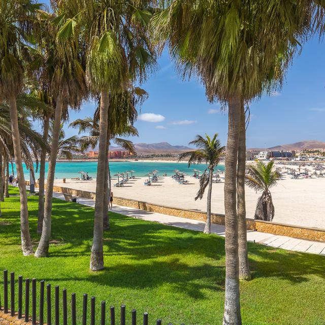 Appart'hôtel Barceló Fuerteventura Castillo photo 10