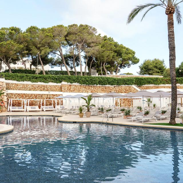 Hôtel AluaSoul Mallorca Resort - Réservé aux adultes photo 5