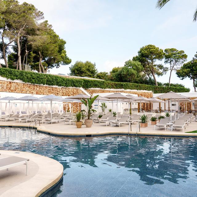 Hôtel AluaSoul Mallorca Resort - Réservé aux adultes photo 34
