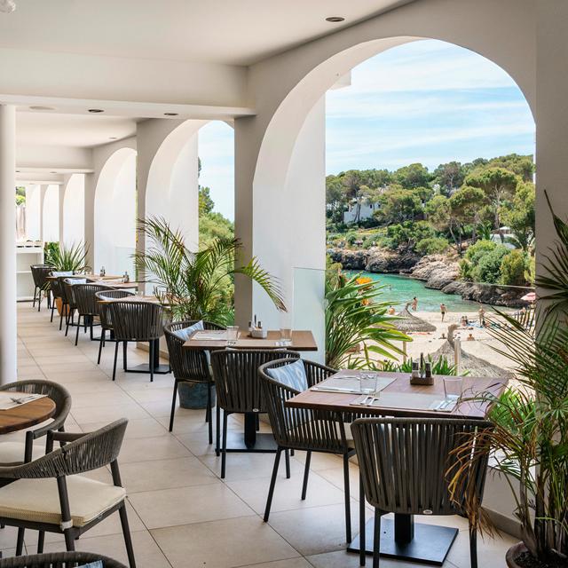 Hôtel AluaSoul Mallorca Resort - Réservé aux adultes photo 15