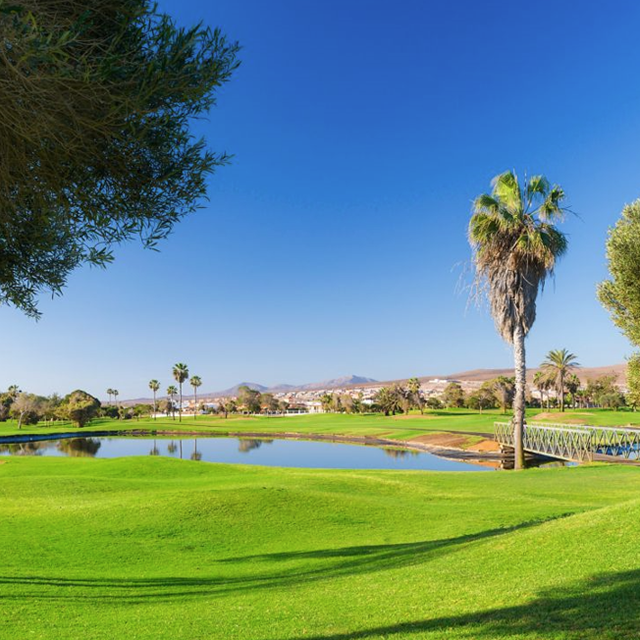 Hôtel Sheraton Fuerteventura Beach, Golf & Spa Resort photo 11