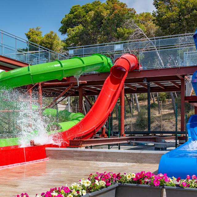 Best Lloret Splash photo 12