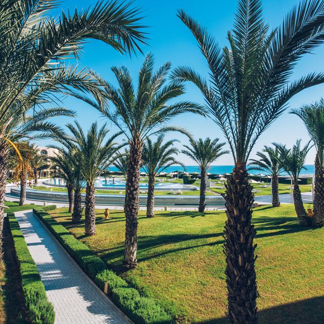 Iberostar Waves Averroes photo 4