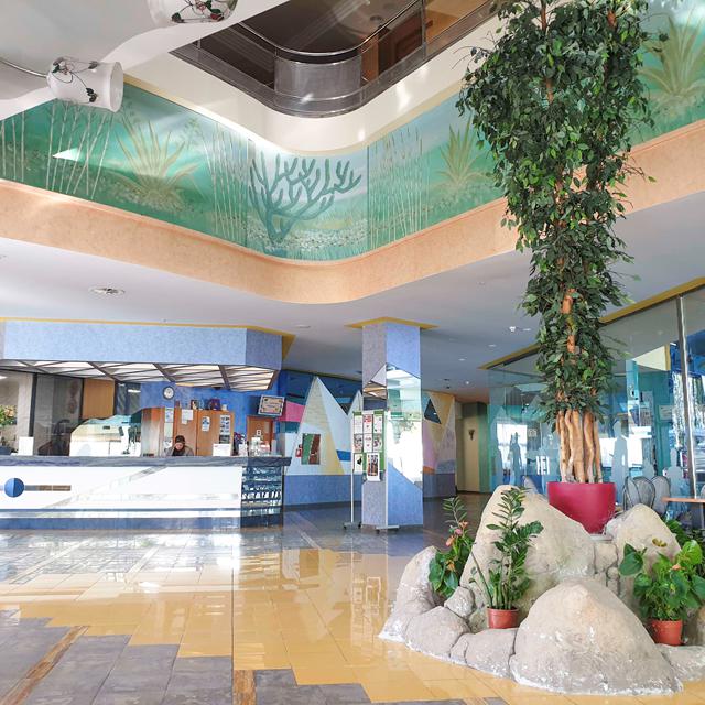 Hôtel Kaktus Albir photo 10