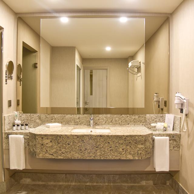 Hôtel Royal Seginus photo 21