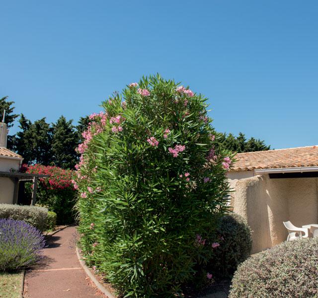SOWELL HÔTELS Les Jardins du Cap photo 13