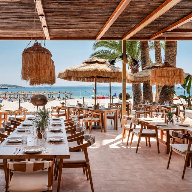 Zel Mallorca photo 27