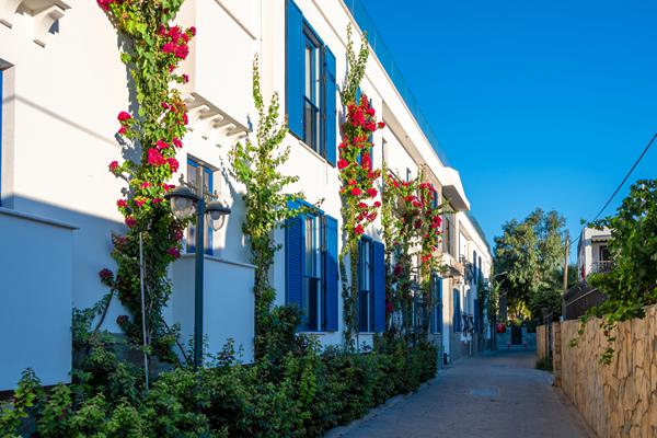 Photo de Bodrum Ortakent