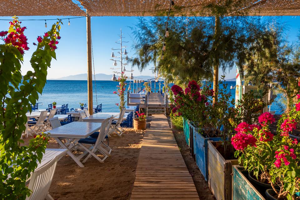 Bodrum-Ortakent Photo : 3 sur 4
