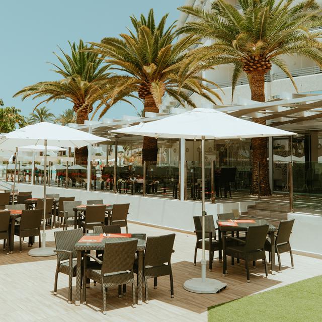 Hôtel Olé Tropical Tenerife - Réservé aux adultes photo 19