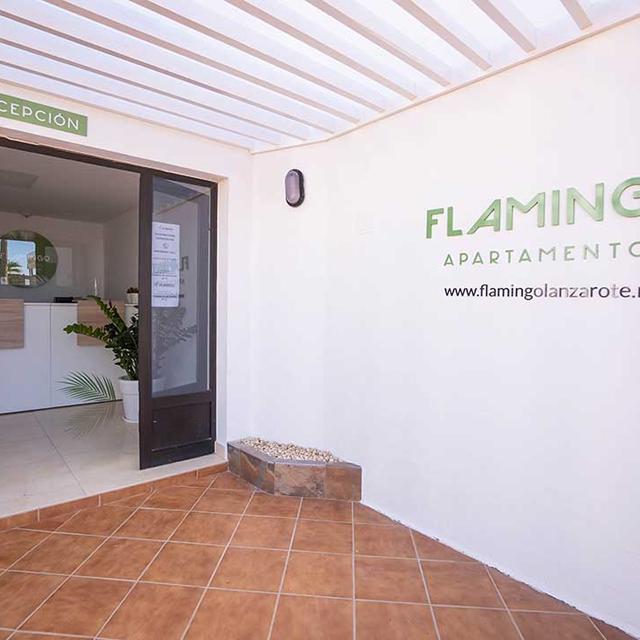 Appartements Flamingo photo 18