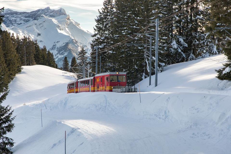 Les Diablerets Photo : 3 sur 3