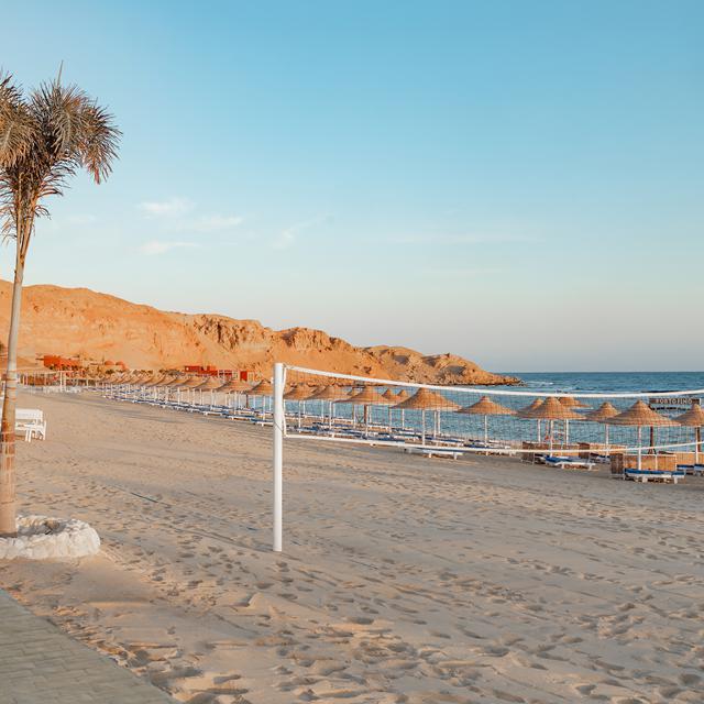 Hotel Pickalbatros Vita Resort photo 17
