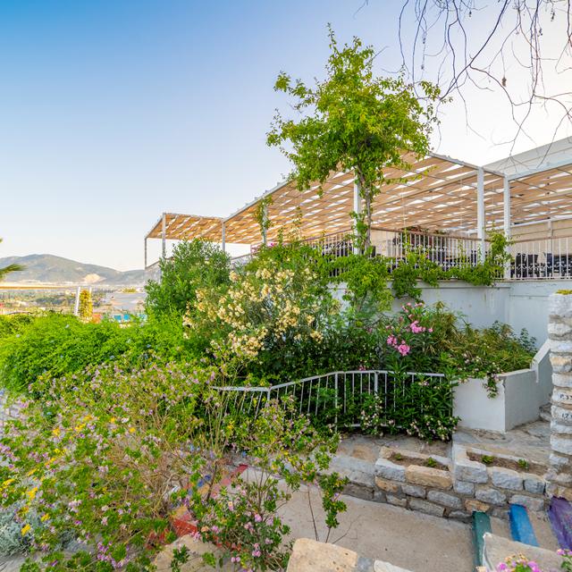 Hôtel Riva Bodrum Resort - réservé aux adultes photo 13