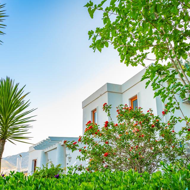 Hôtel Riva Bodrum Resort - réservé aux adultes photo 11