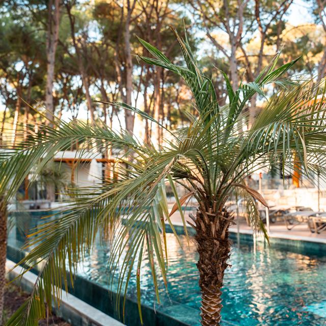 Hôtel Omer Prime Holiday Resort & Spa photo 6