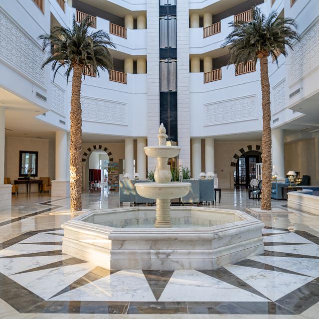 Hôtel Vincci Saphir Palace & Spa photo 9