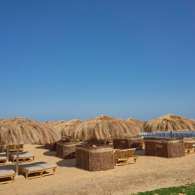 Hôtel Diamond Beach by Pearl Resorts - hiver au soleil 25/26 photo 19