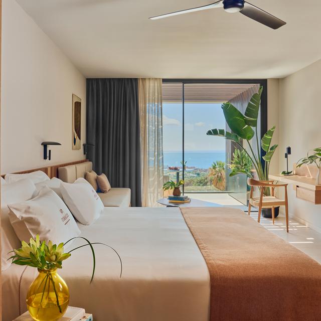 Hôtel Royal Hideaway Corales Villas photo 3