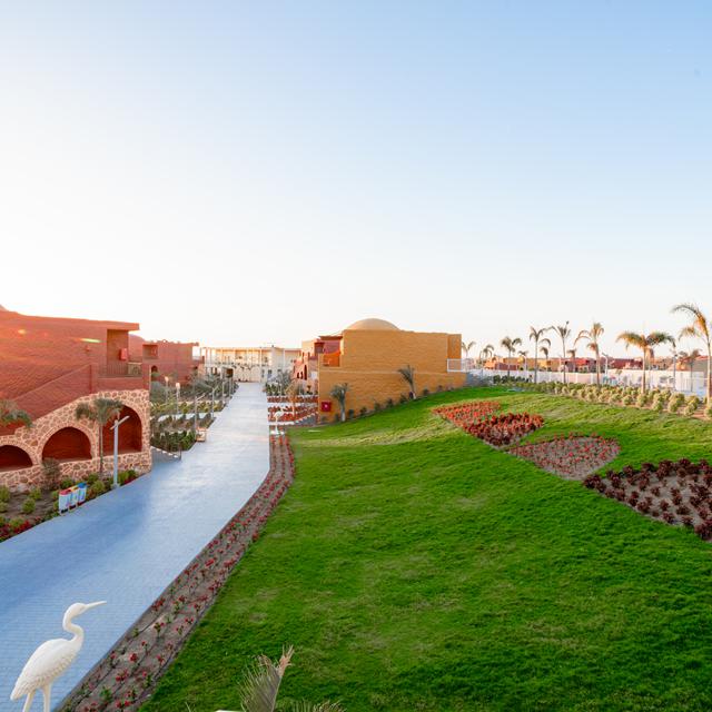 Hotel Pickalbatros Vita Resort photo 13