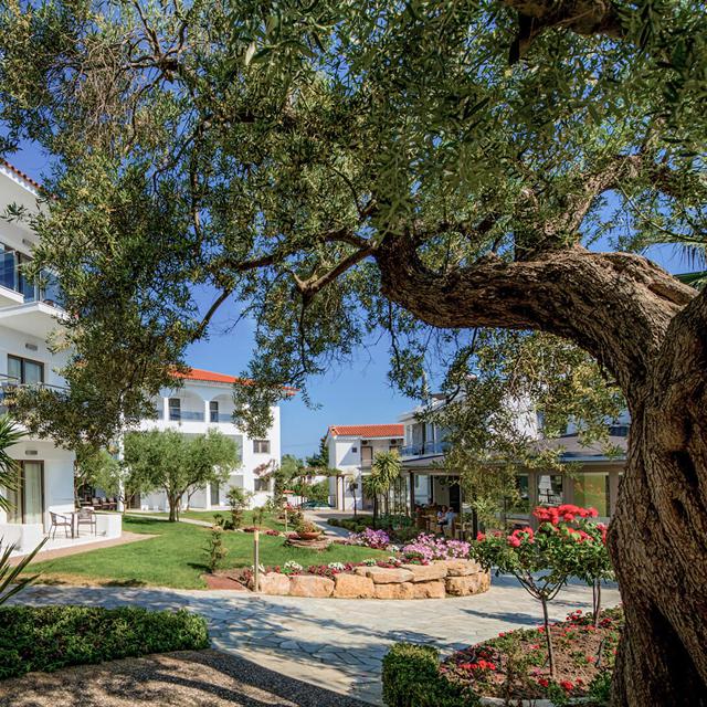 Hôtel Flegra Palace photo 12