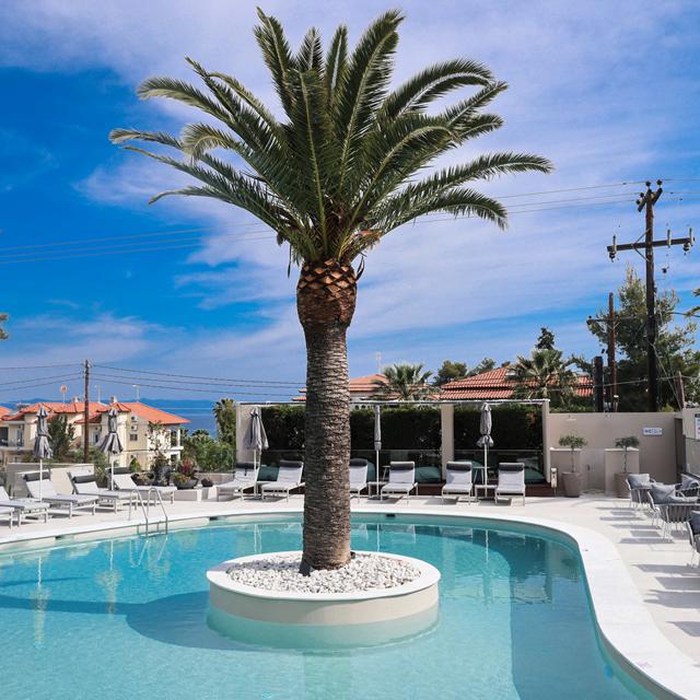 Hôtel Anna Maria Paradise photo 3