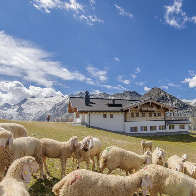 Hôtel Olympia photo 16