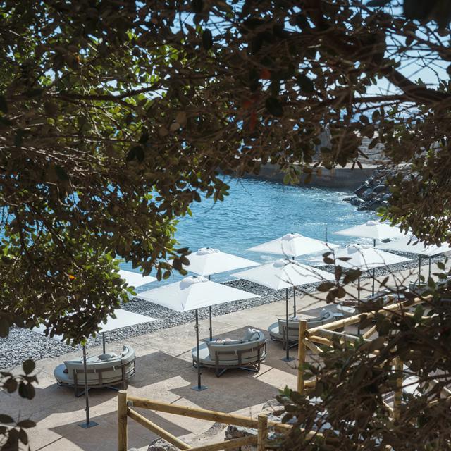 Hôtel Dreams Madeira photo 9