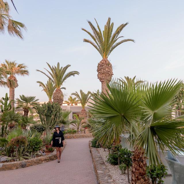 Hôtel Lyttos Beach photo 23