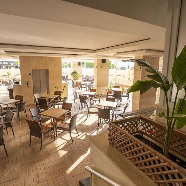 Hôtel Citrus Plaza photo 5