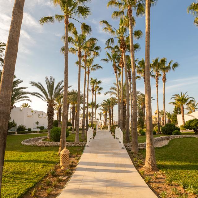 Hôtel Steigenberger Marhaba Thalasso Hammamet photo 7