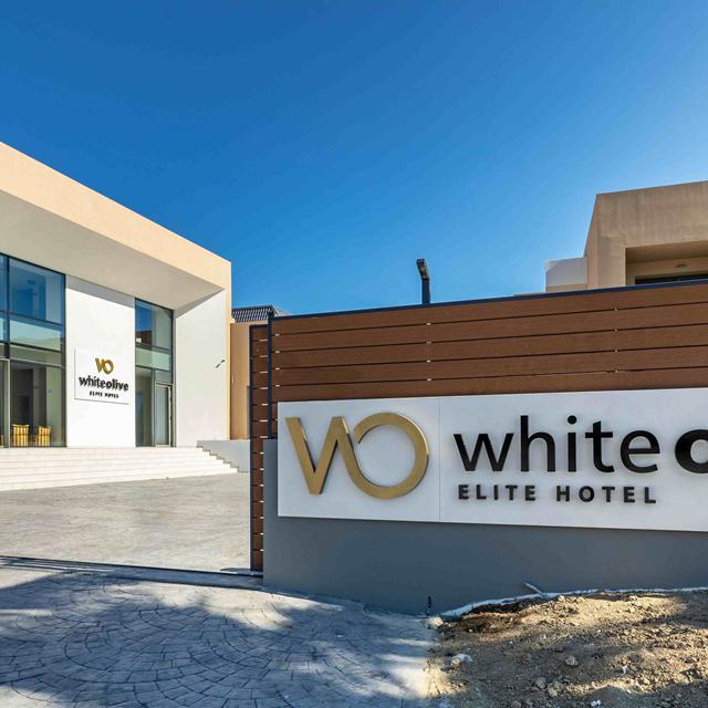 White Olive Elite Laganas photo 34