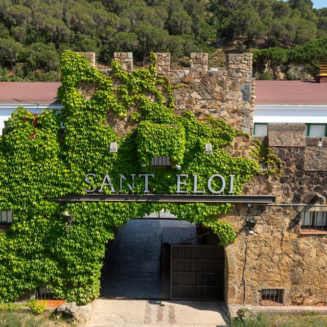 Medplaya Aparthotel Sant Eloi photo 29