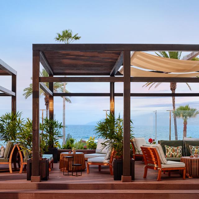 Melia Costa Atlantis Tenerife photo 31