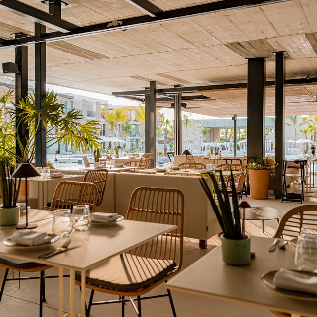 Bonito Ibiza by O Beach photo 7