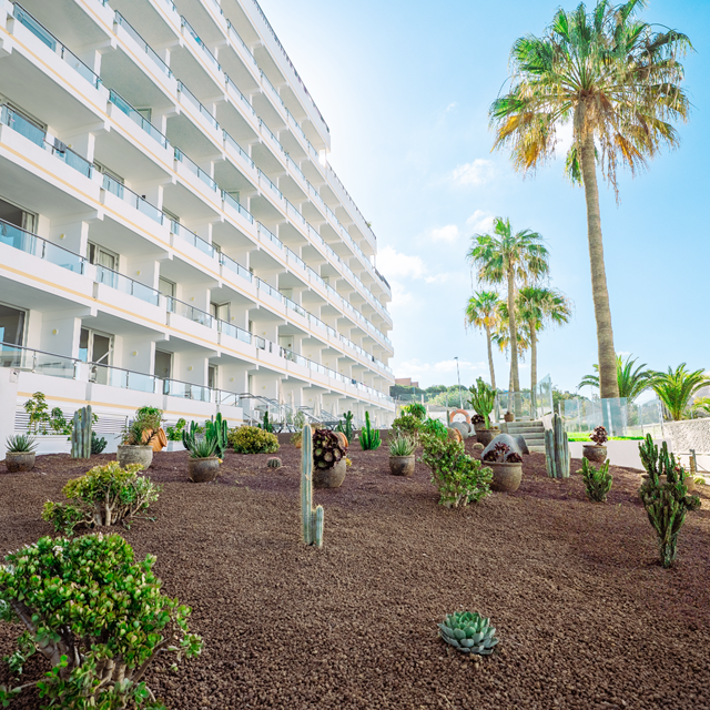 Coral Ocean View - Réservé aux adultes photo 7