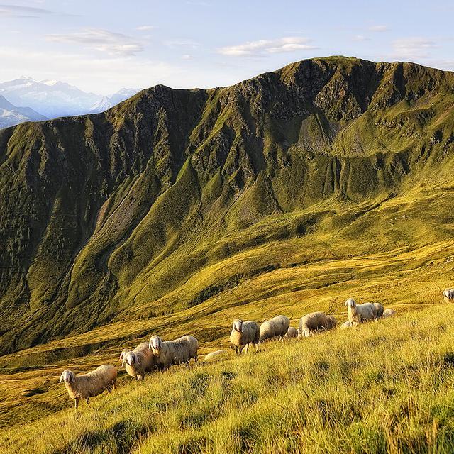 Hotel Die Sonne photo 35